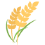 :ear_of_rice: 🌾
