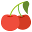 :cherries: 🍒