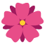 :rosette: 🏵️