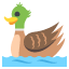 :duck: 🦆