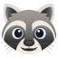 :raccoon: 🦝